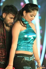 Bengal Tiger Movie Triple Platinum Disc Function